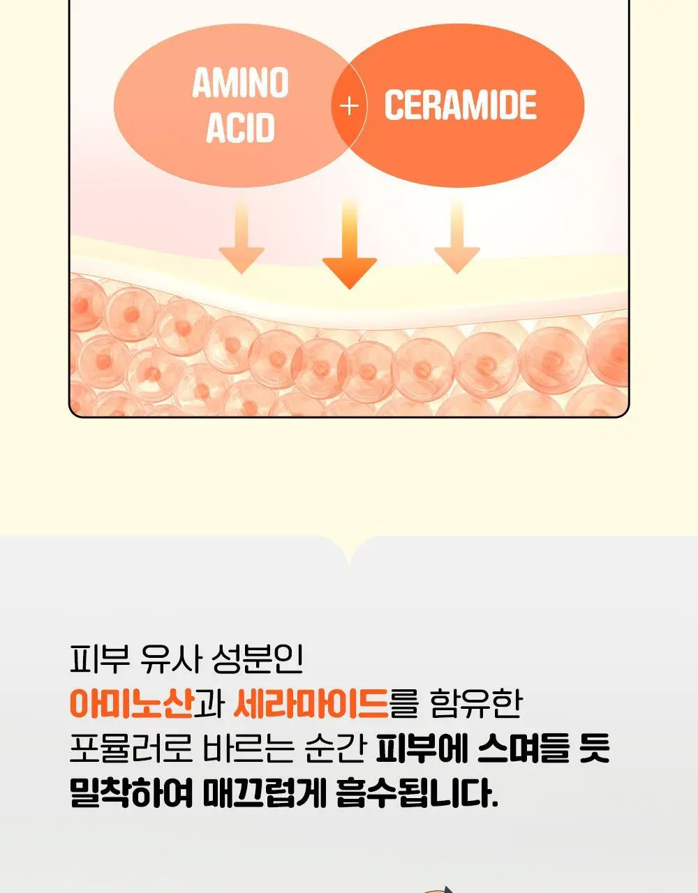 [대용량한정기획] 차앤박 프로폴리스 트리트먼트 앰플 에센스 300ml (아따맘마 에디션) 상세페이지 15